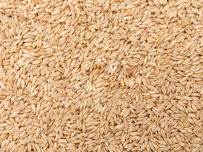 谷物烘干应用案例